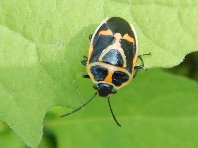 f0118332_22175054.jpg