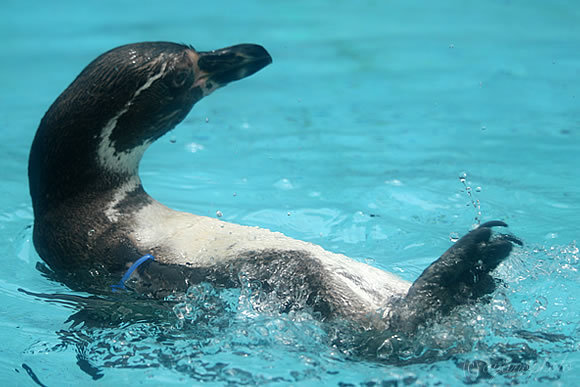 のいち動物公園にて撮影