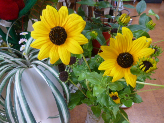 e0278968_20080378.jpg