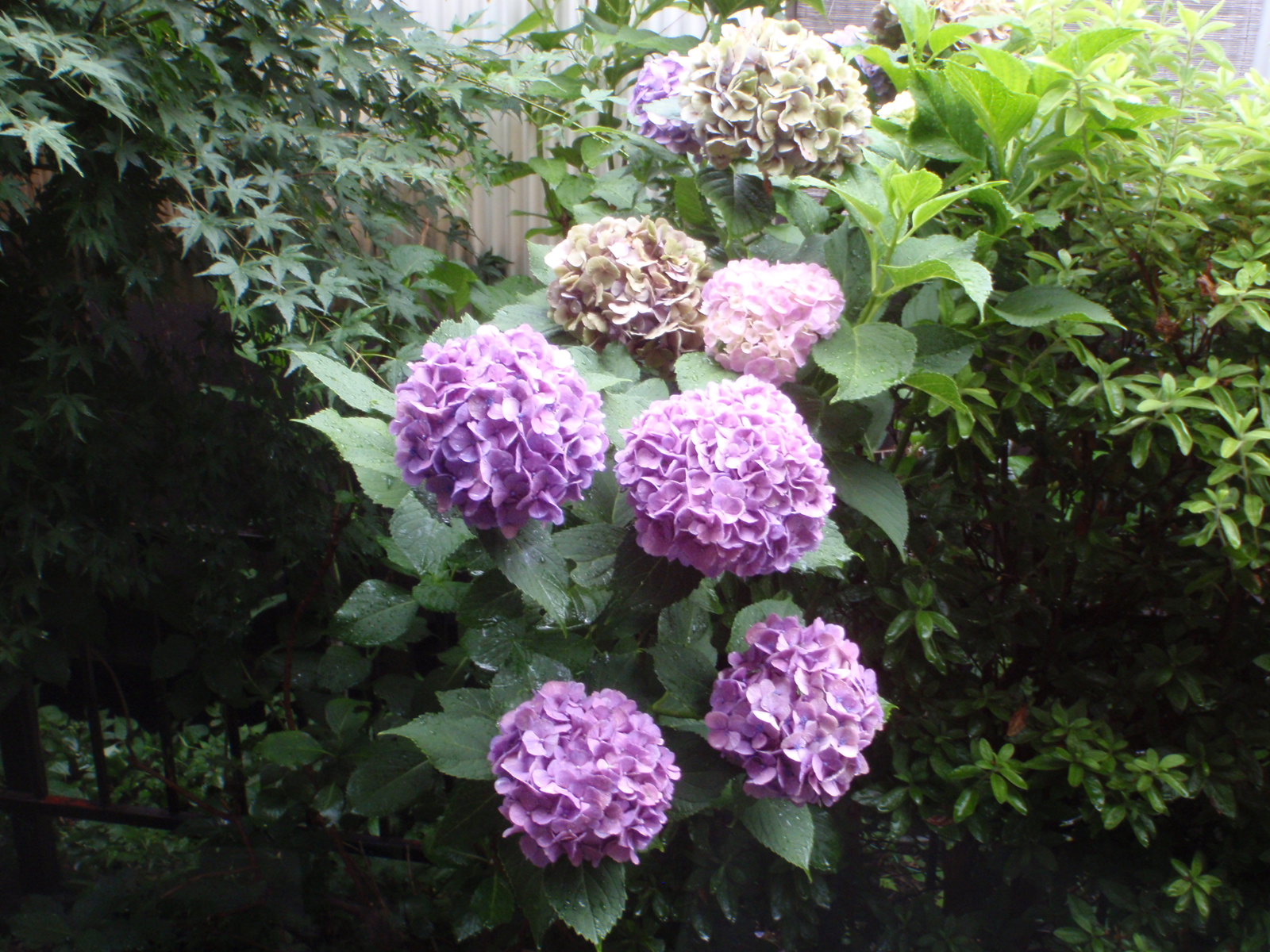 f0224772_19295748.jpg