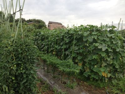 d0297577_22183542.jpg
