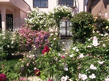 d0017084_9144344.jpg