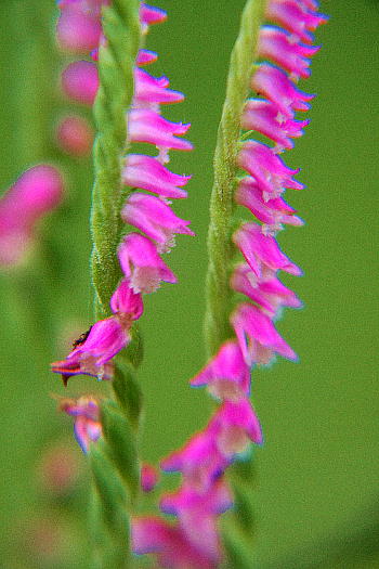 b0171185_17151156.jpg