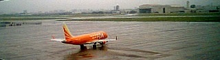 d0007286_1703760.jpg