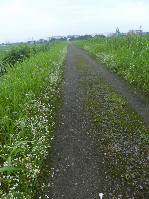 f0357487_22245332.jpg