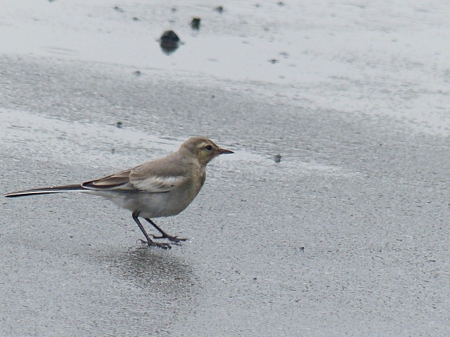 f0357487_22313365.jpg