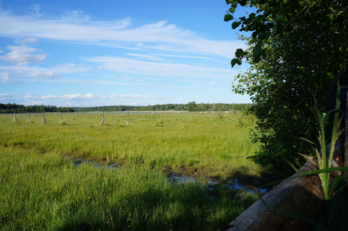e0241093_1033452.jpg