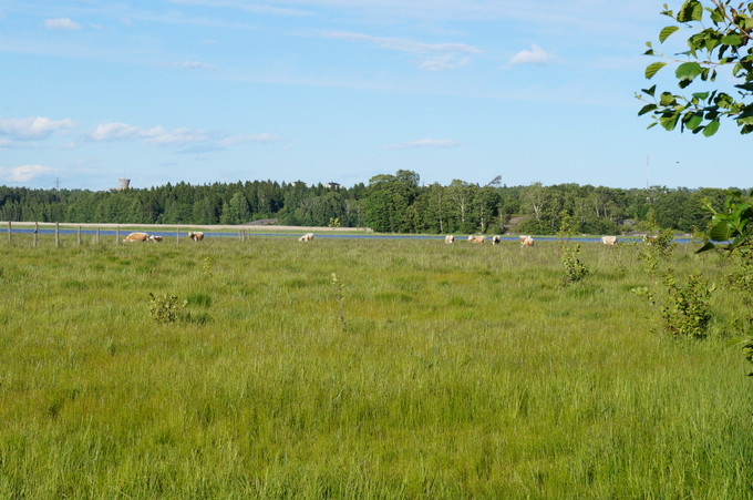 e0241093_104193.jpg