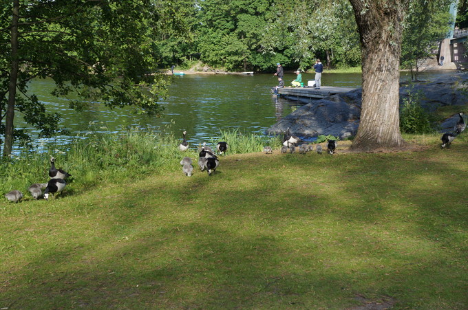 e0241093_9415570.jpg