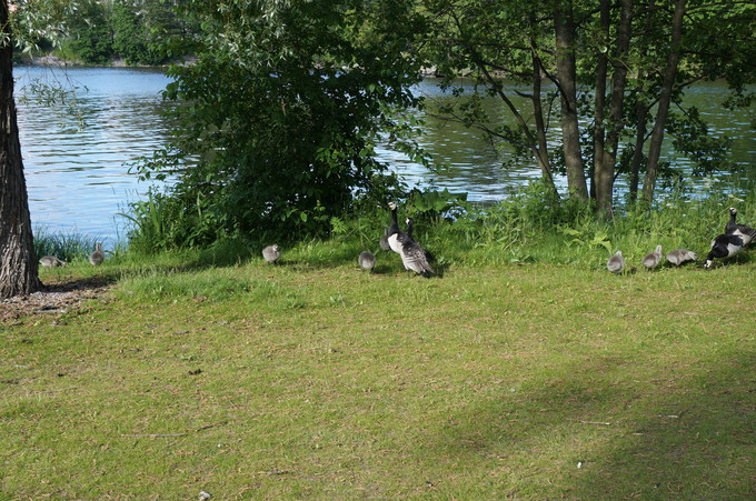 e0241093_944149.jpg