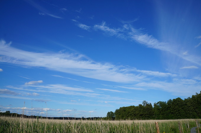 e0241093_9483926.jpg