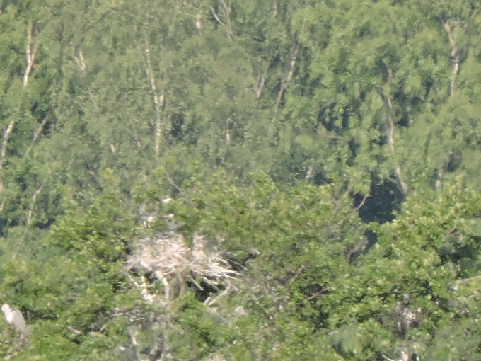 e0241093_9573984.jpg