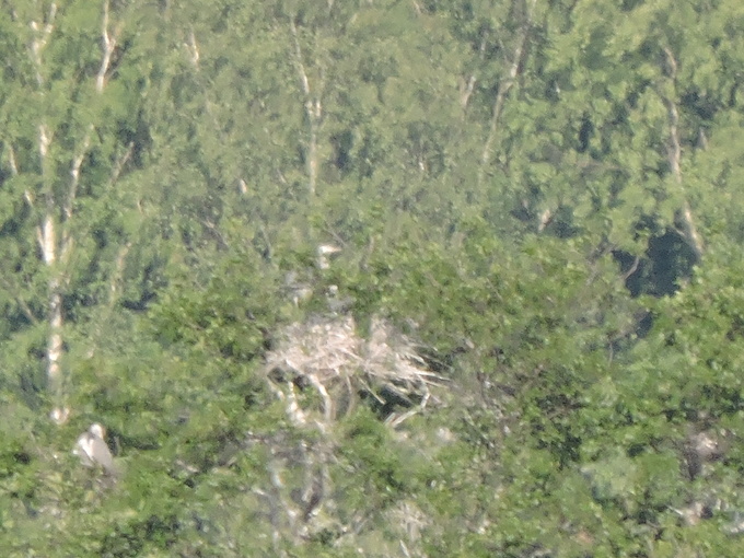 e0241093_958194.jpg