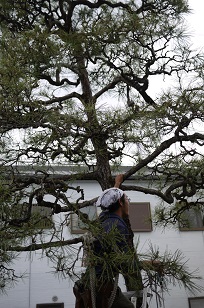 f0226293_921682.jpg