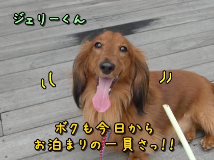 a0338800_22543572.jpg