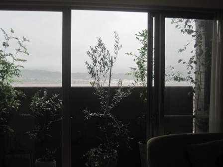 c0152002_17370134.jpg