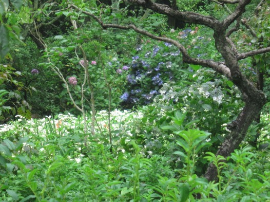 e0245404_180750.jpg
