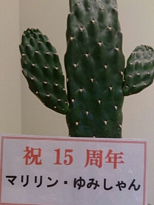 a0216805_8184796.jpg