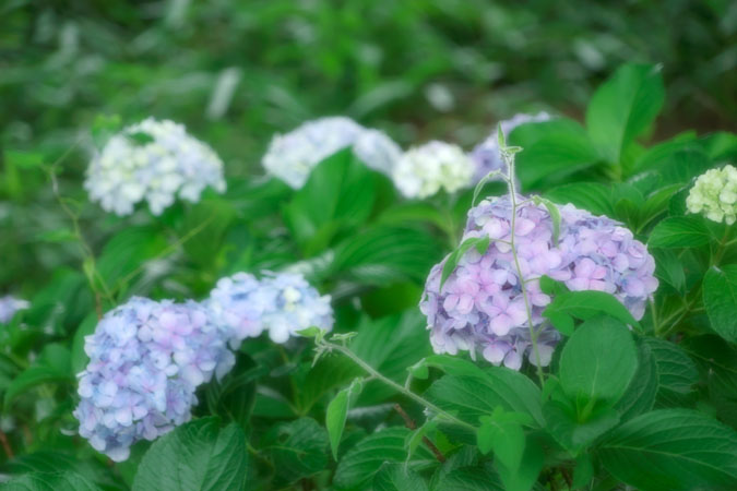 a0263109_14453853.jpg