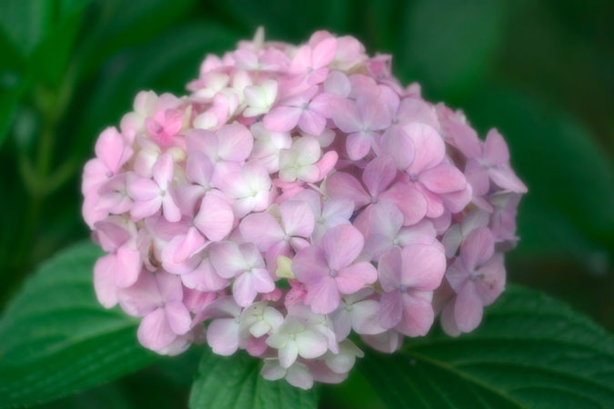 a0263109_14454547.jpg