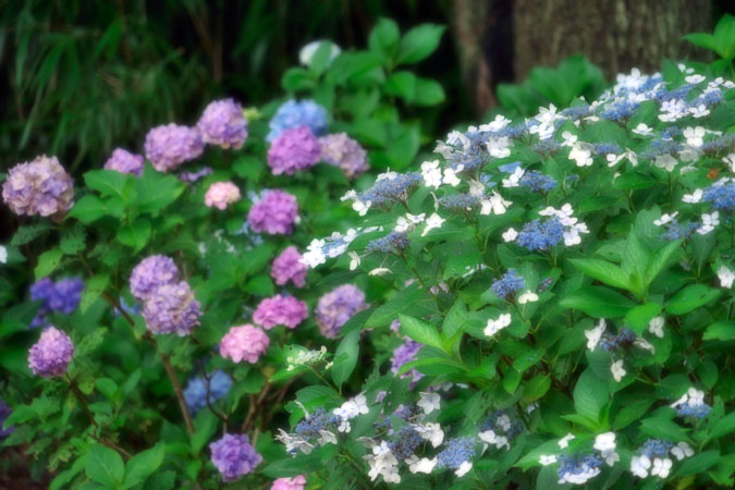 a0263109_14461939.jpg
