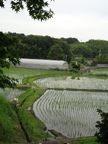 f0000521_07162080.jpg