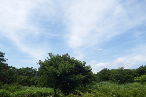f0118332_23534472.jpg