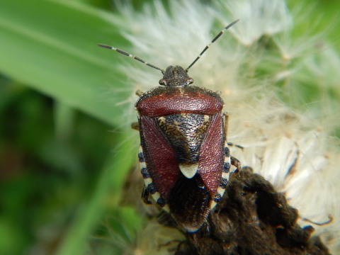 f0118332_23555154.jpg