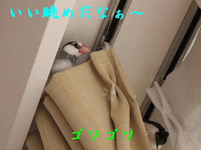 c0365734_20101779.jpg