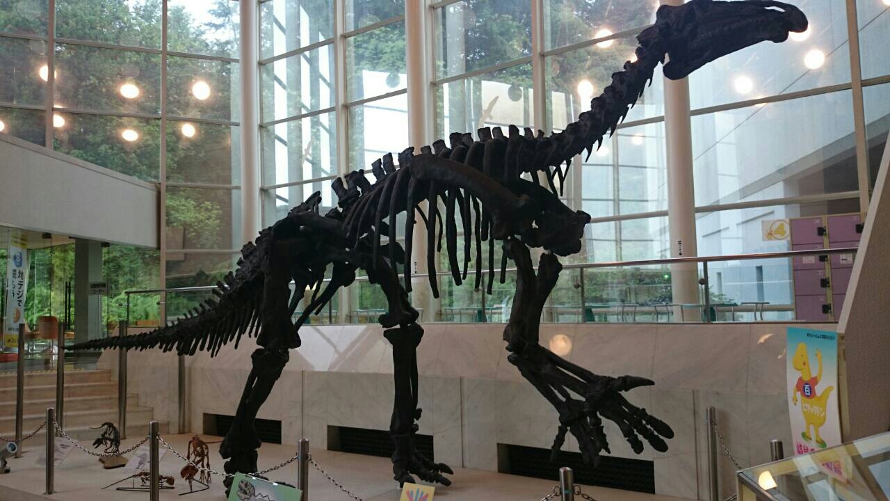 c0295742_23455948.jpg