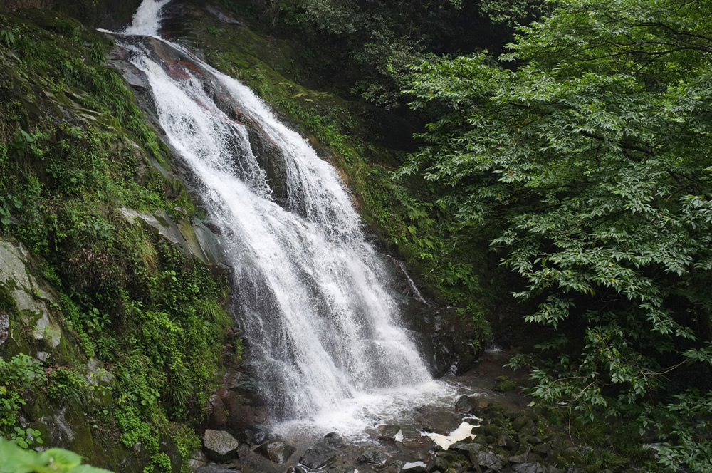 a0166150_13123695.jpg