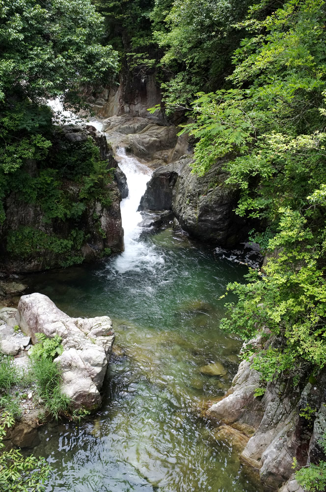 a0166150_13223123.jpg