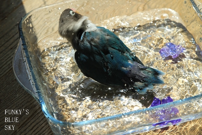c0145250_09551795.jpg