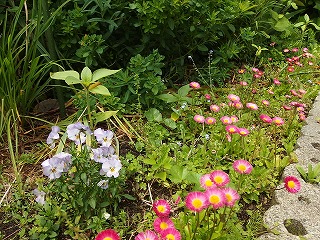 e0004756_2146448.jpg