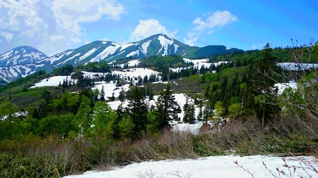 c0136760_1573555.jpg