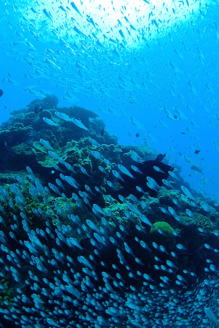 b0062363_16175570.jpg