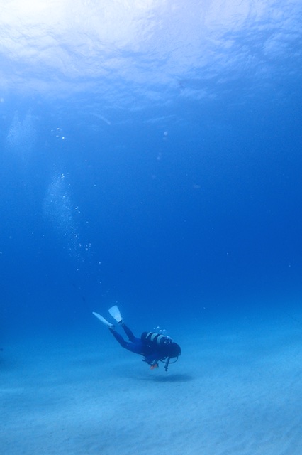 b0062363_16221245.jpg