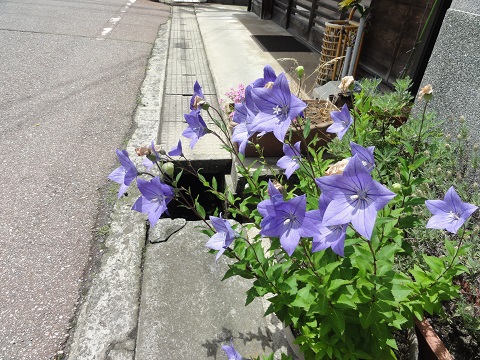 d0029363_22402149.jpg