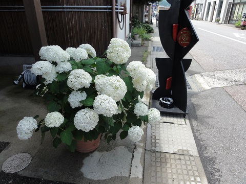 d0029363_22402975.jpg