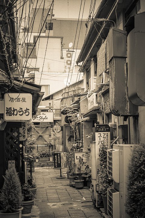 b0175964_23174451.jpg