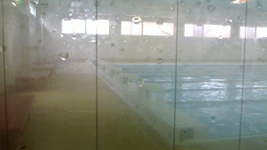 f0131183_19554842.jpg