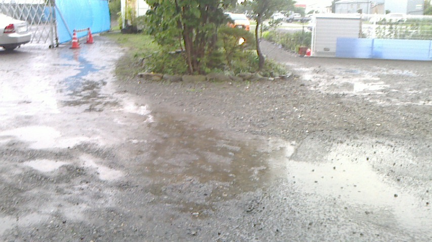 f0131183_1956052.jpg