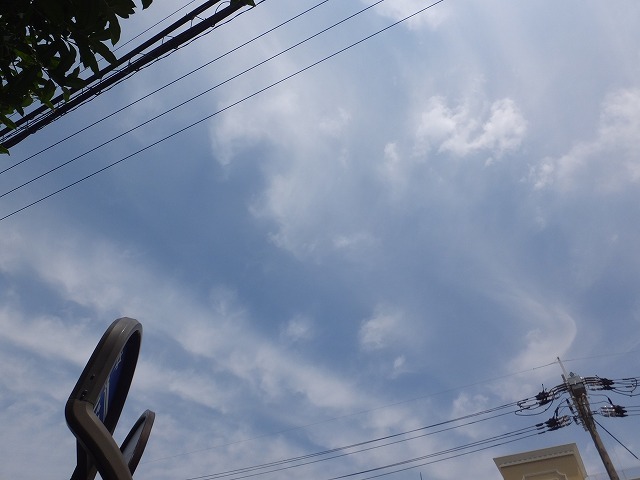 b0317485_17503535.jpg