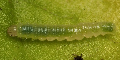 b0194593_2247331.jpg