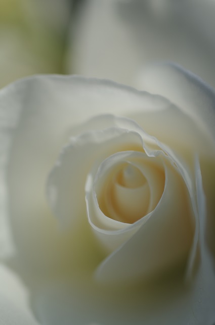 e0350396_163224.jpg