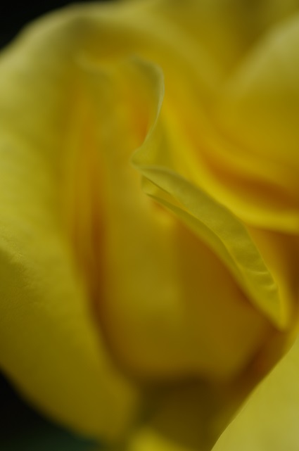 e0350396_163394.jpg