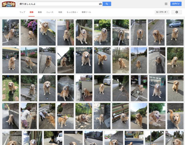 b0275998_1193690.png