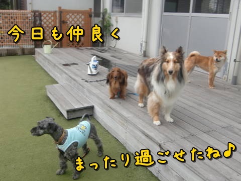 a0338800_21212795.jpg