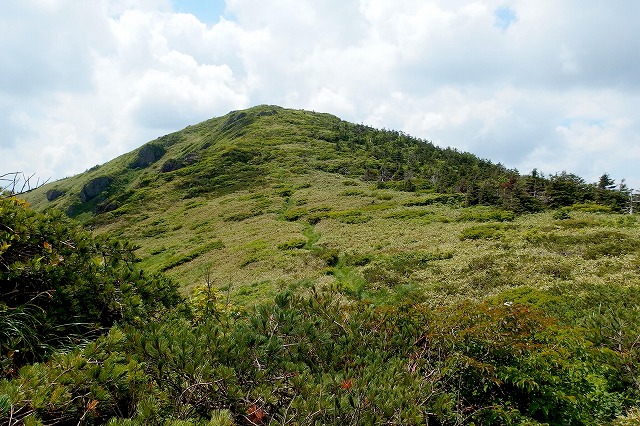 e0137200_194917.jpg