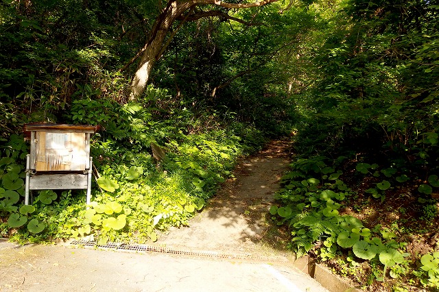 e0137200_1963112.jpg
